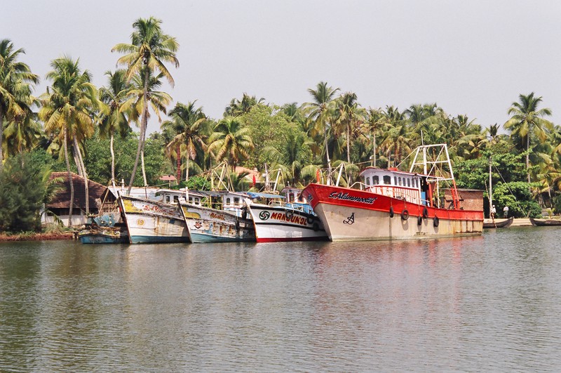 Brightly coloured boats along the backwaters