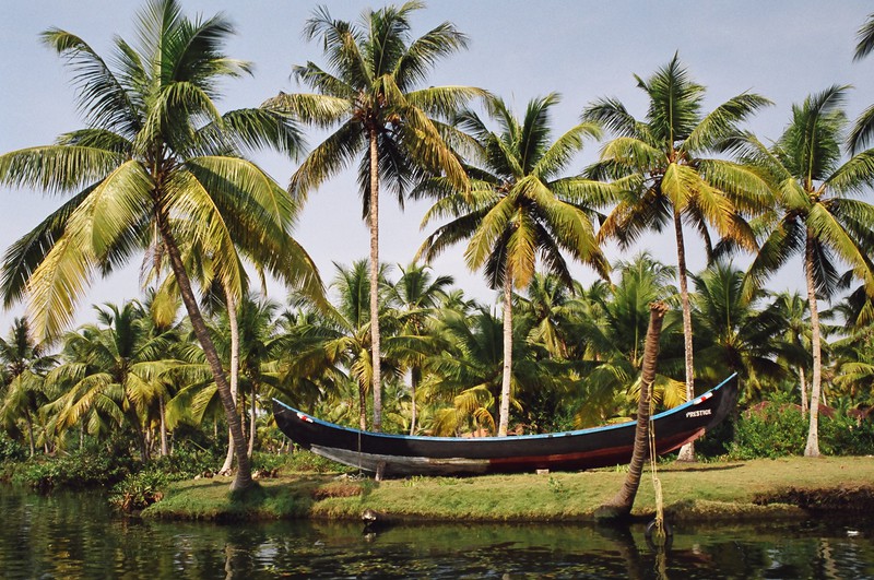 The Keralan backwaters