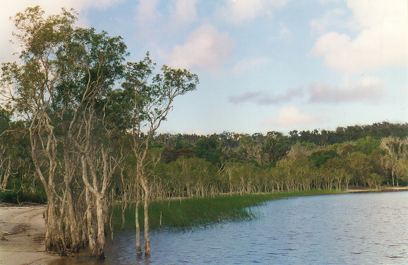 Brown Lake, Stradbroke Island