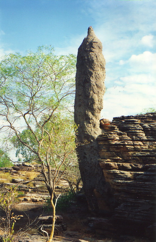 A giant termite mound at the Rock Holes, Kakadu