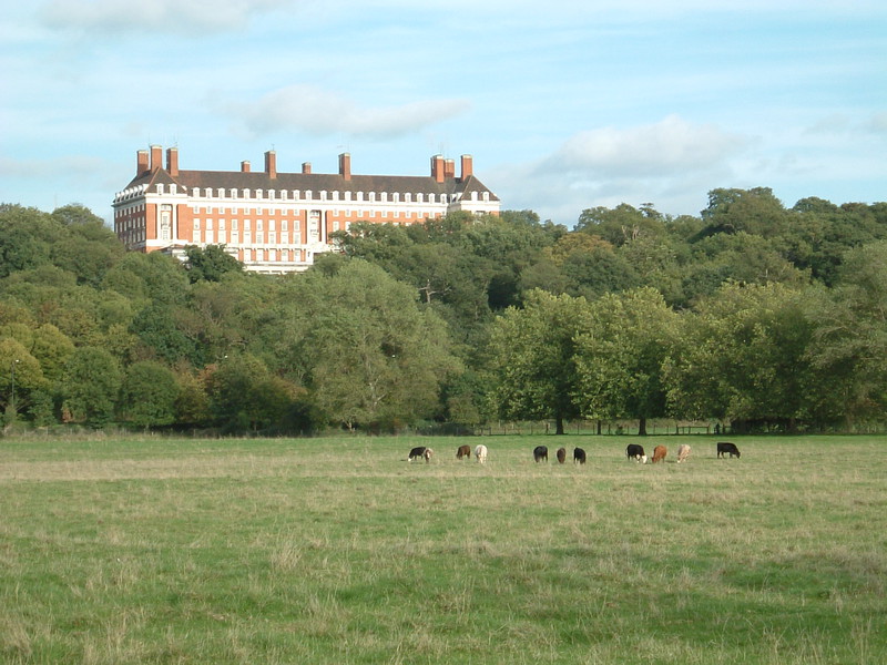 The view towards the Star and Garter Home from the Thames Path at Petersham Meadow