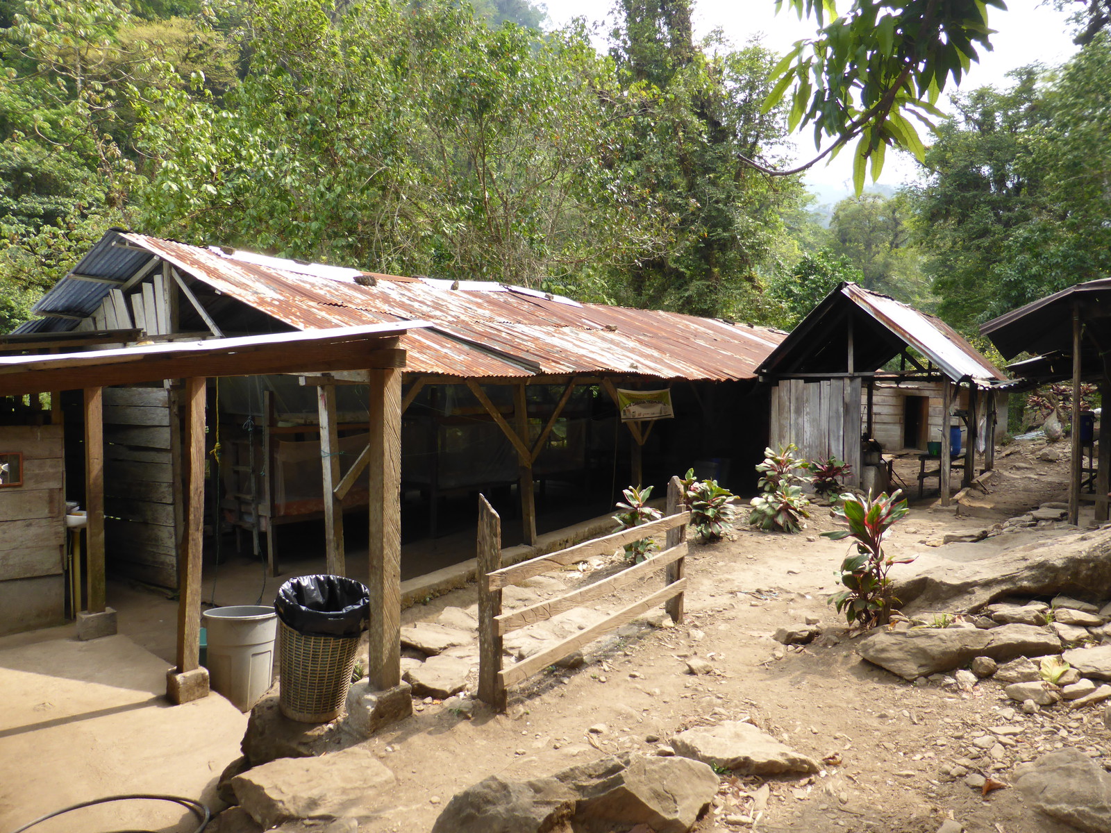 A Picture from Ciudad Perdida, Colombia - Travel Writing