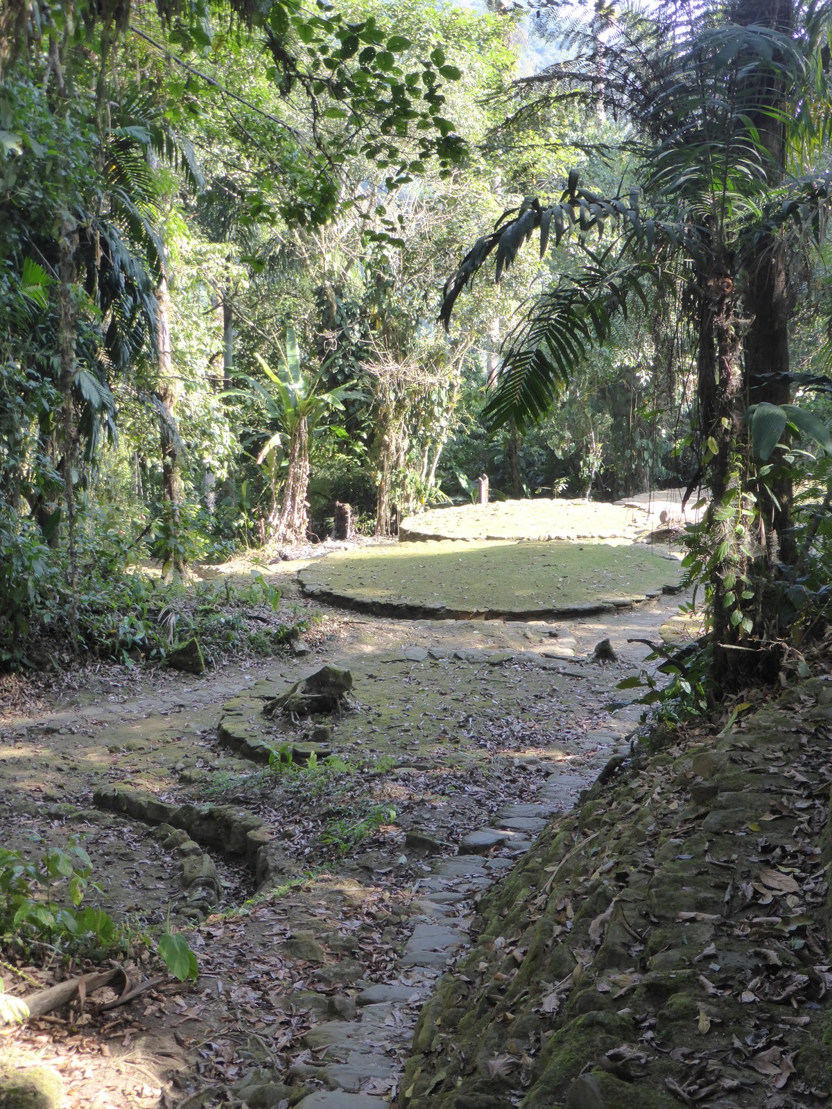 Stone platforms in the La Gallera section