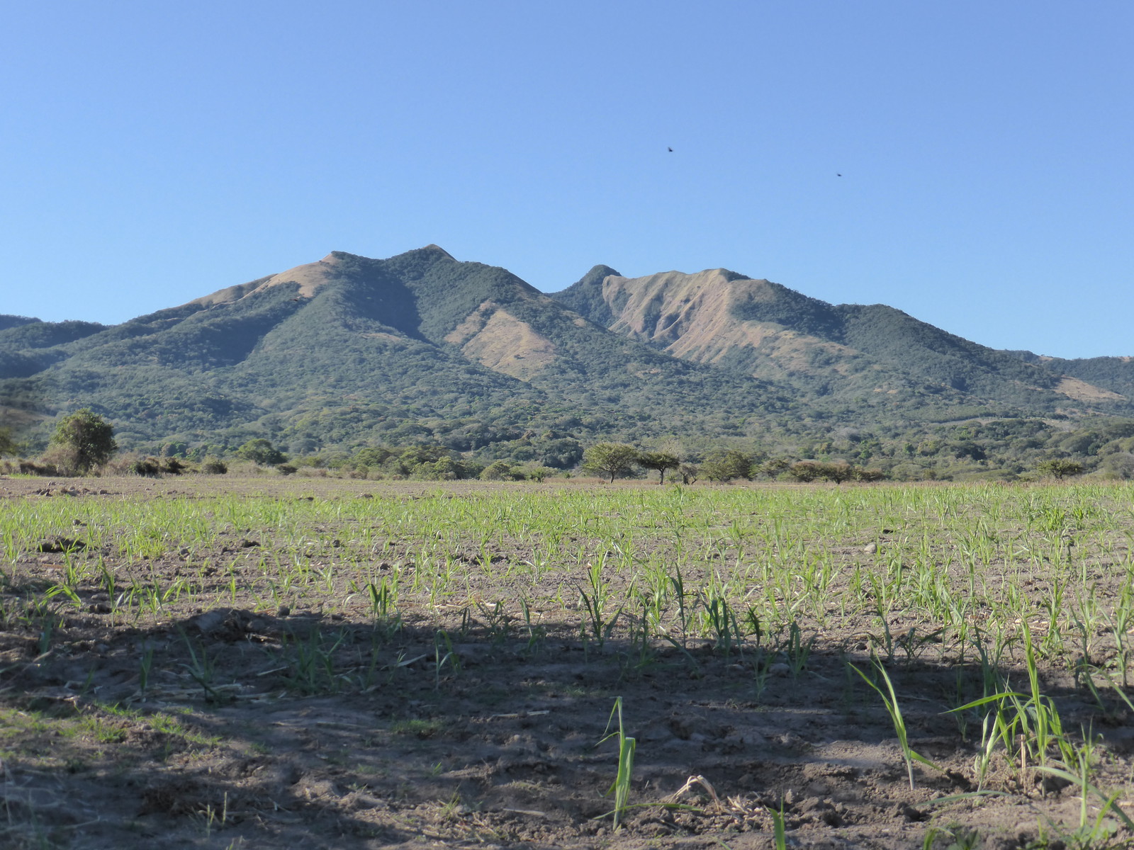 Cerro de Guazapa