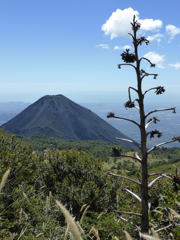 The views of Volcán Izalco from the trail are breathtaking