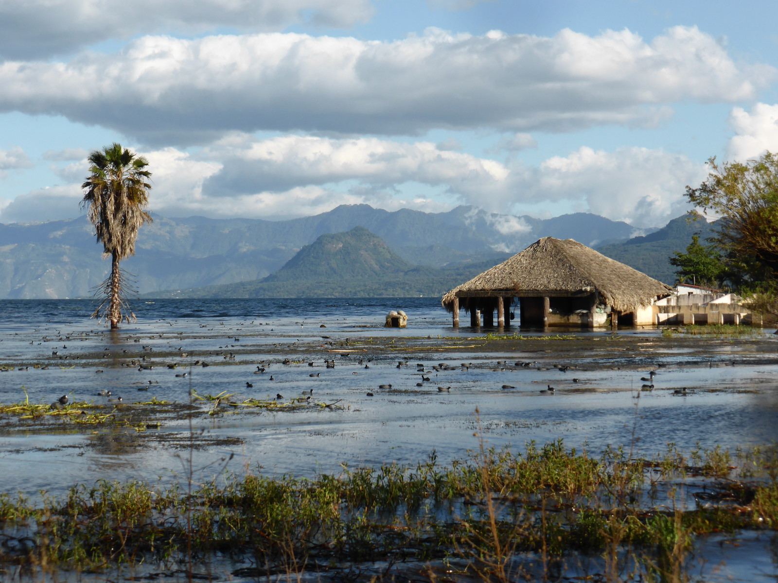 Flooded buildings near the eastern dock in San Pedro