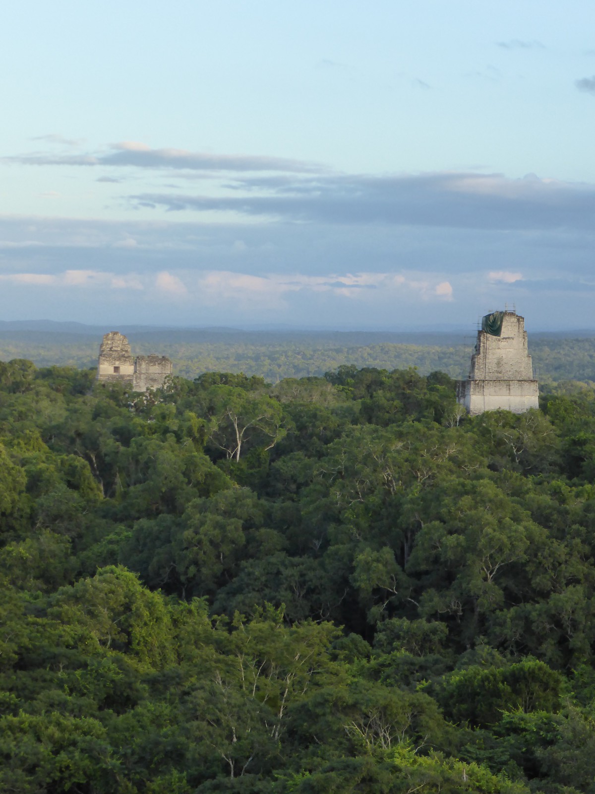 The view east from Temple IV, with Temples I and II on the left and Temple III on the right