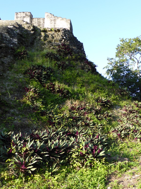 One of the temples on the Acrópolis del Norte