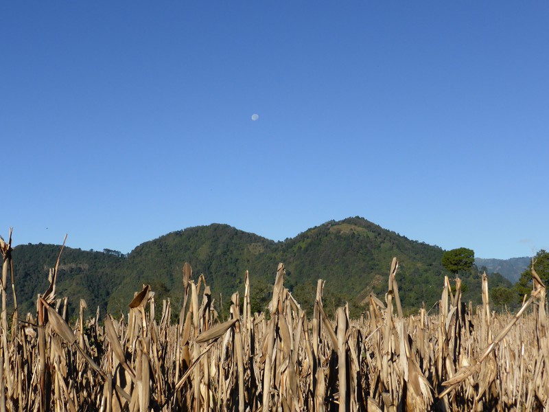 The corn fields along the crater rim