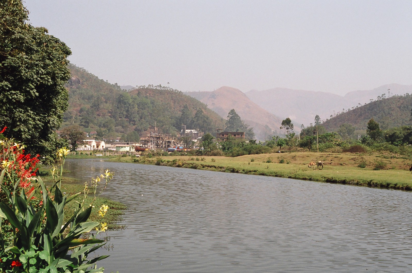 The river through Munnar, to the south of the main town