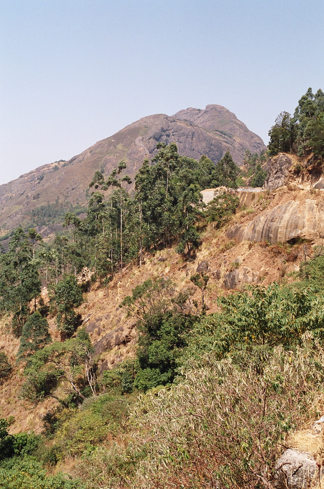 The view on the way from Munnar to Periyar