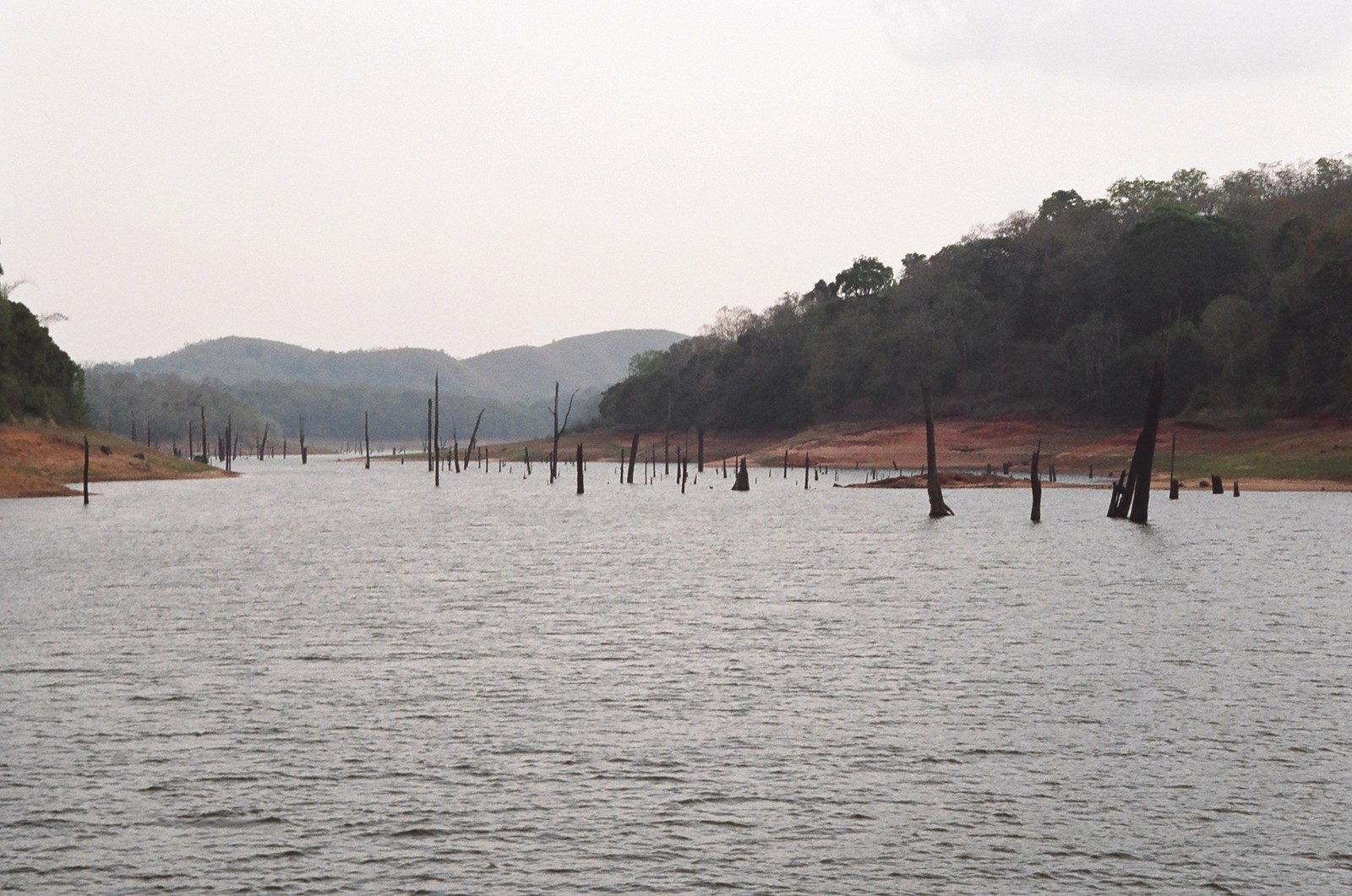 The wildlife cruise on Periyar Lake