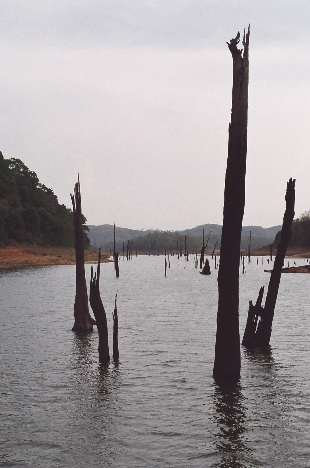 The wildlife cruise on Periyar Lake