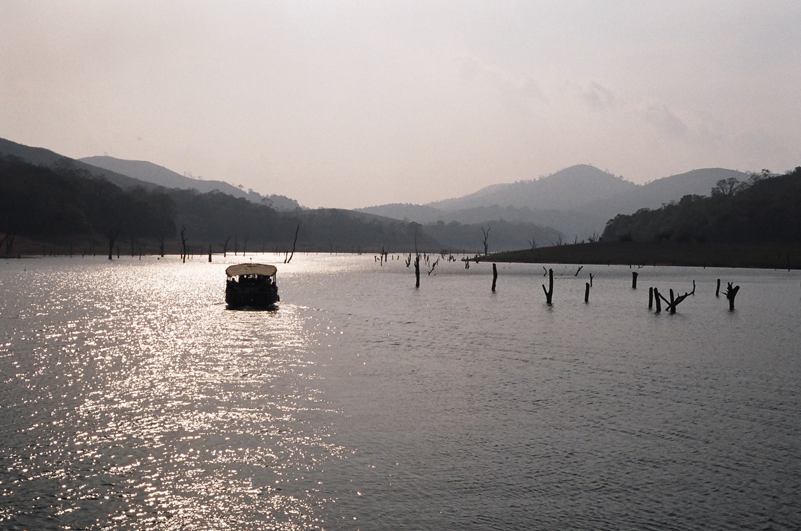 The wildlife cruise on Periyar Lake