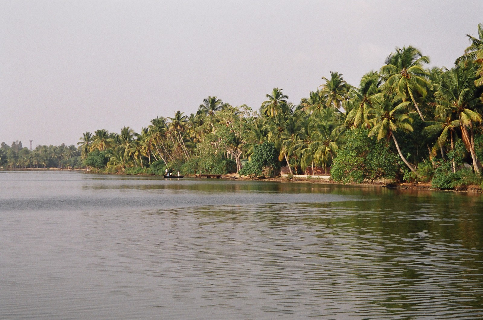 The Keralan backwaters