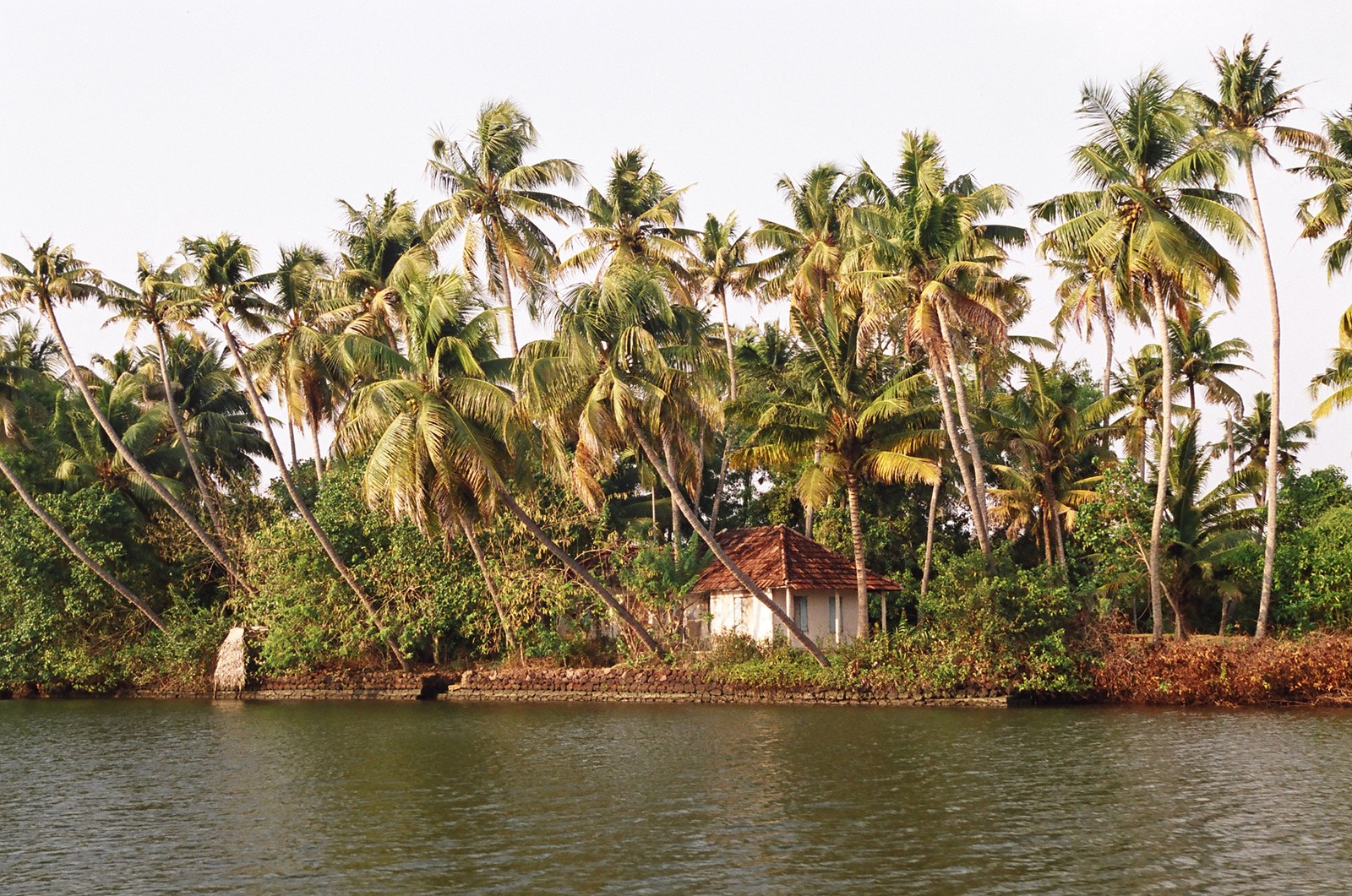 A house on the banks of the backwaters