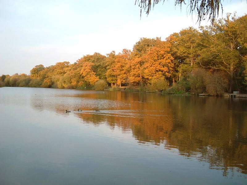 Beech Hill Lake