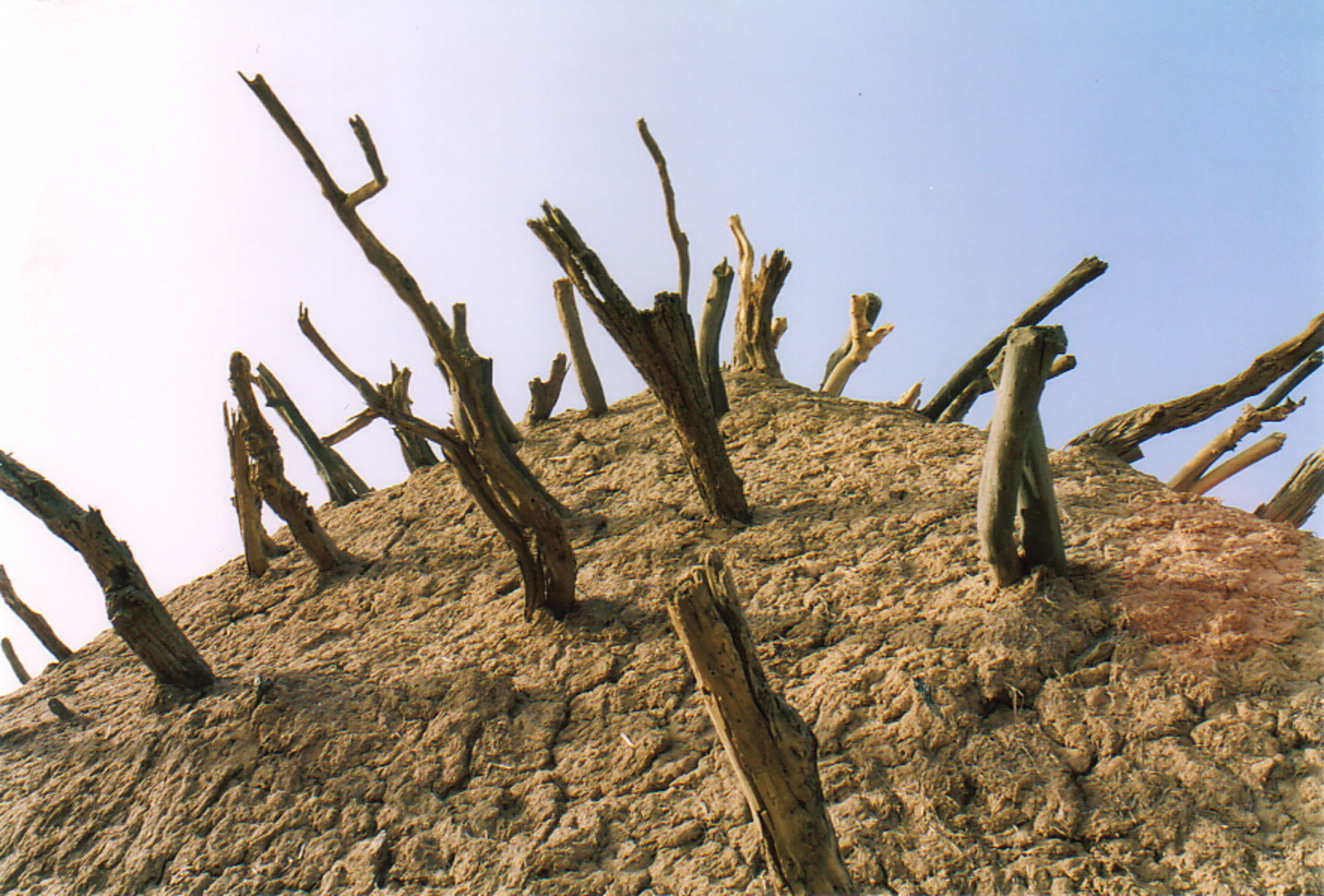 The Tomb of Askia in Gao