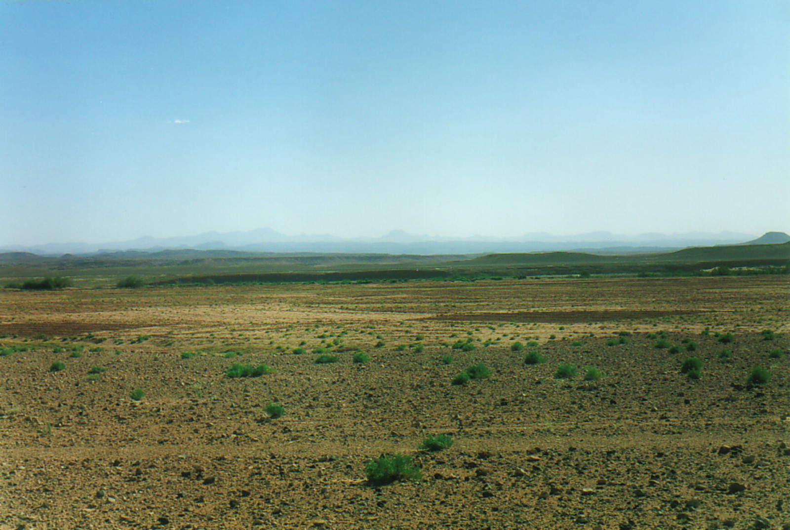 The flat landscape of the hammada