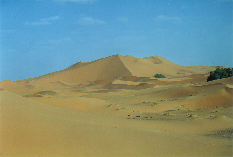 The dunes of the Erg Chebbi