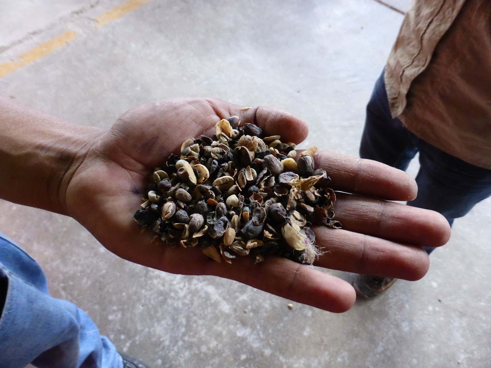 The lowest quality coffee, which is used by the locals