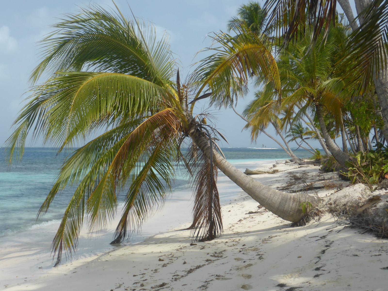 A Picture from San Blas (Cayos Coco Banderos), Panama - Travel Writing