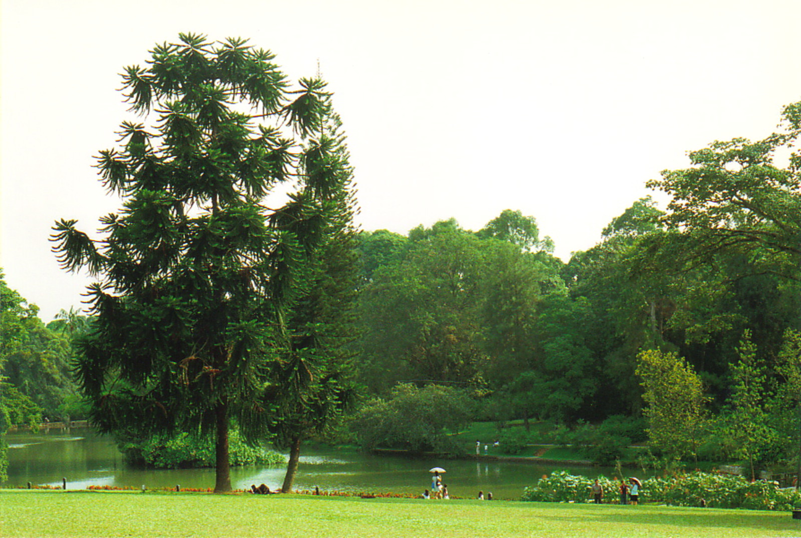 The botanic gadens in Singapore